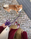 Pets