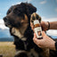 Paw Doctor Premium
